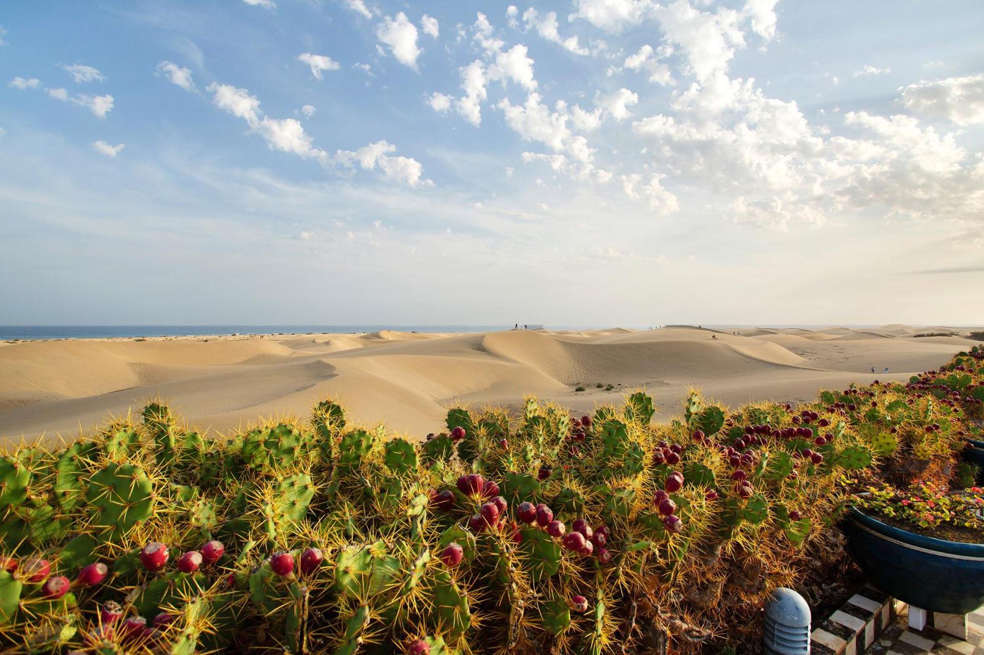 Villa Dunas Maspalomas Μασπαλόμας Εξωτερικό φωτογραφία